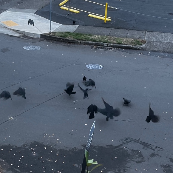 Meet your Posher, Jonathan - Picture 1 of 1